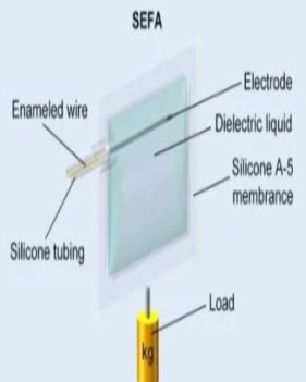 柔性电子与人工智能 驱动智能制造的新兴双引擎